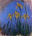 Yellow Irises 1 by Claude Monet